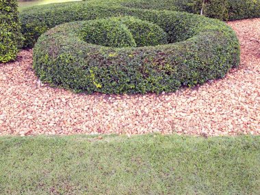 Bahçe Chatuchak genel Park, Tayland