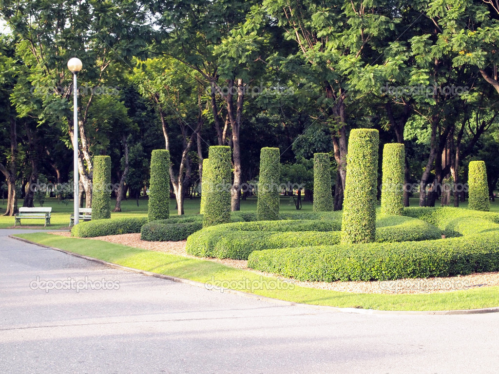 Garden in Chatuchak public park, Thailand