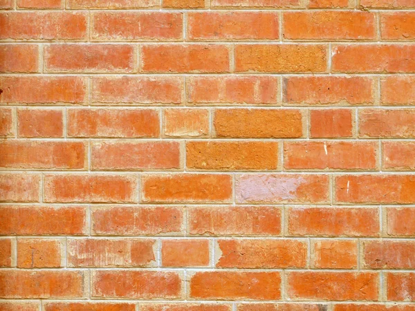 Background of brick wall texture — Stock Photo, Image