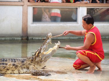 Samutprakarn, Tayland - 21 Aralık: Timsah Timsah çiftliği'nde 21 Aralık 2013 samutprakarn, thaila nd göster. Bu heyecan verici show turizm ve Tay insanlar arasında çok ünlü arasında