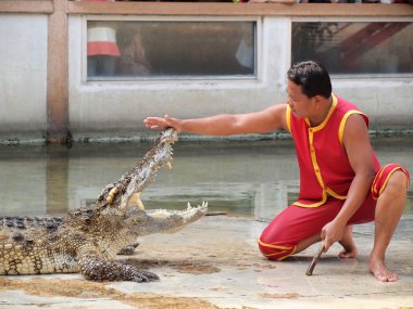 Samutprakarn, Tayland - 21 Aralık: Timsah Timsah çiftliği'nde 21 Aralık 2013 samutprakarn, thaila nd göster. Bu heyecan verici show turizm ve Tay insanlar arasında çok ünlü arasında