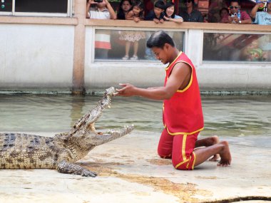 Samutprakarn, Tayland - 21 Aralık: Timsah Timsah çiftliği'nde 21 Aralık 2013 samutprakarn, thaila nd göster. Bu heyecan verici show turizm ve Tay insanlar arasında çok ünlü arasında