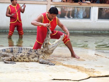 Samutprakarn, Tayland - 21 Aralık: Timsah Timsah çiftliği'nde 21 Aralık 2013 samutprakarn, thaila nd göster. Bu heyecan verici show turizm ve Tay insanlar arasında çok ünlü arasında