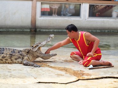 Samutprakarn, Tayland - 21 Aralık: Timsah Timsah çiftliği'nde 21 Aralık 2013 samutprakarn, thaila nd göster. Bu heyecan verici show turizm ve Tay insanlar arasında çok ünlü arasında