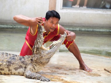 Samutprakarn, Tayland - 21 Aralık: Timsah Timsah çiftliği'nde 21 Aralık 2013 samutprakarn, thaila nd göster. Bu heyecan verici show turizm ve Tay insanlar arasında çok ünlü arasında