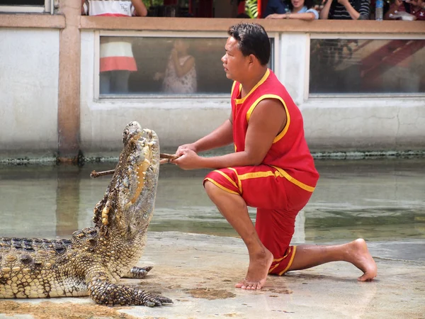 SAMUTPRAKARN, THAILAND - 21 de dezembro: show de crocodilo na fazenda de crocodilos em 21 de dezembro de 2013 em Samutprakarn, Thaila nd. Este show emocionante é muito famoso entre os turistas e tailandeses — Fotografia de Stock