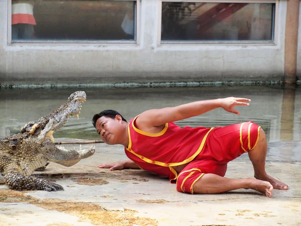 SAMUTPRAKARN, THAILAND - 21 de dezembro: show de crocodilo na fazenda de crocodilos em 21 de dezembro de 2013 em Samutprakarn, Thaila nd. Este show emocionante é muito famoso entre os turistas e tailandeses — Fotografia de Stock