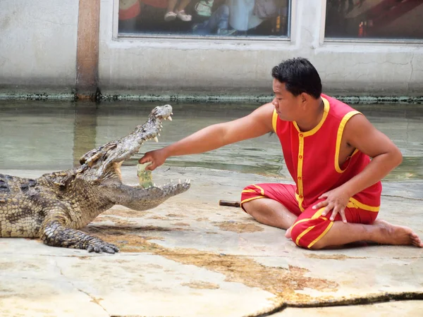 SAMUTPRAKARN,THAILAND - DECEMBER 21: crocodile show at crocodile farm on December 21, 2013 in Samutprakarn,Thaila nd. This exciting show is very famous among among tourist and Thai people — Stock Photo, Image