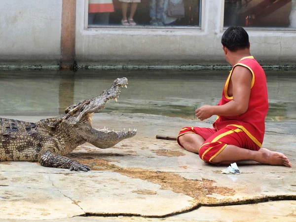 Samutprakarn, Thajsko - 21. prosince: krokodýlí show v krokodýlí farmě na 21 prosince 2013 v samutprakarn, thaila nd. Tento vzrušující show je velmi slavný mezi mezi turisty a thajských lidí Stock Obrázky
