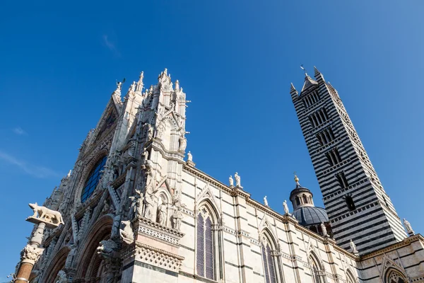 Belle cathédrale Santa Maria à Sienne, Toscane, Italie — Photo