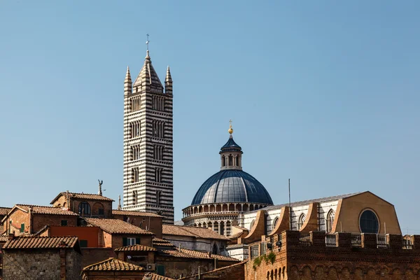 Siena ve santa maria Katedrali, Toskana, İtalya havadan görünümü — Stok fotoğraf