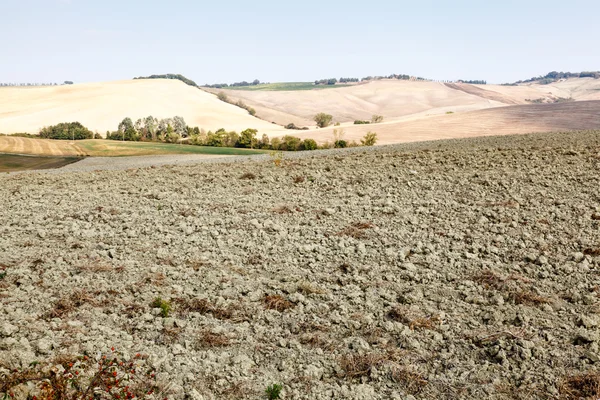 Toskańskim kraju w pobliżu montalcino, Toskania, Włochy — Zdjęcie stockowe