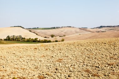Tuscan ülke montalcino, Toskana, İtalya