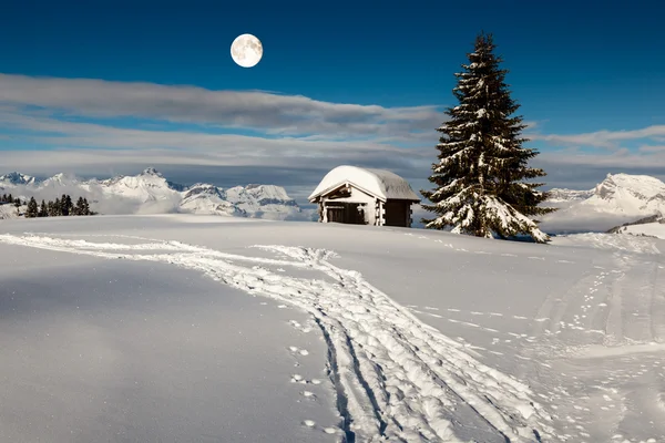 Dolunay yukarıda mountai üst kısmında küçük kulübe ve köknar ağacı — Stok fotoğraf