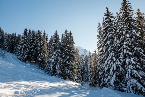 Piste de ski et beau paysage à Megeve, Alpes françaises, Franc — Photo