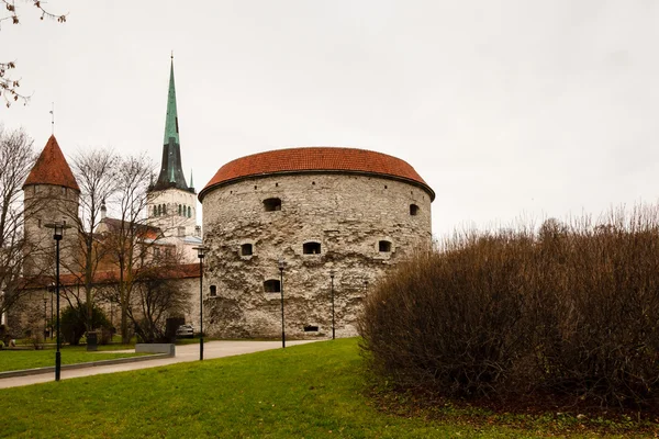 Městské zdi a věže tuku margarita ve starém tallinn, Estonsko — Stock fotografie