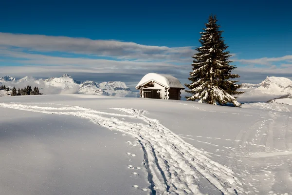 Pequeña cabaña y abeto en la cima de la montaña en los Alpes franceses — Foto de Stock