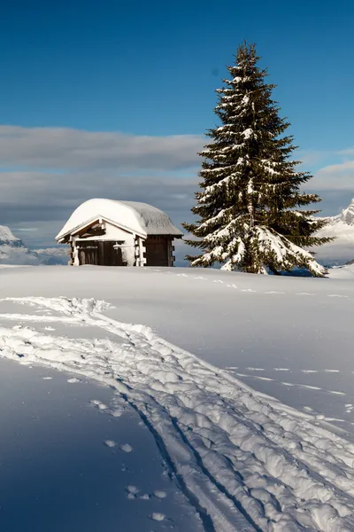 Pequeña cabaña y abeto en la cima de la montaña en los Alpes franceses — Foto de Stock