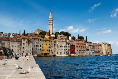 İskele ve şehrin Rovinj Istria Yarımadası'nda Hırvatistan