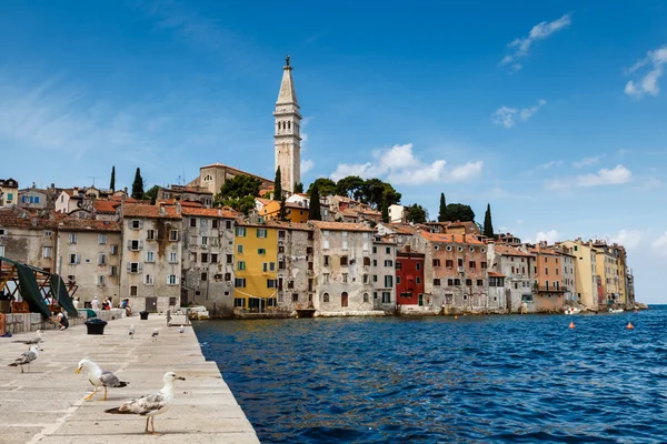 El muelle y la ciudad de Rovinj en la península de Istria en Croacia — Foto de Stock