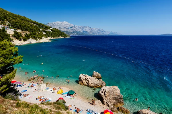 Bella spiaggia e mare Adriatico con acqua blu trasparente nea — Foto Stock