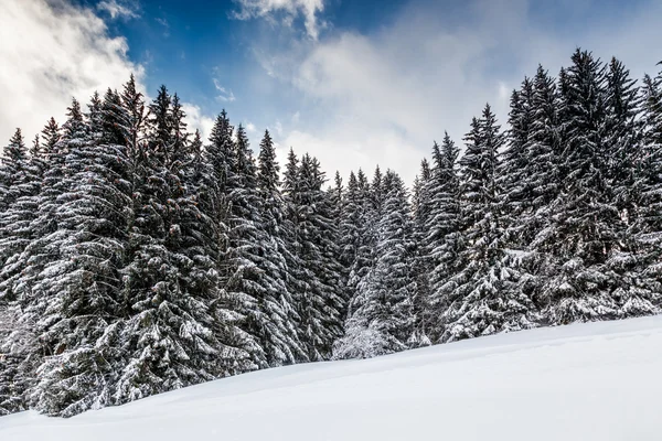 Ski Slope lähellä Megeve paikassa French Alps, France — kuvapankkivalokuva