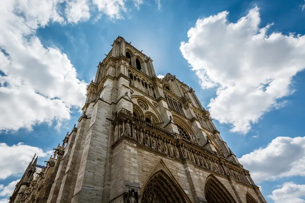 Notre dame de paris Katedrali üzerinde cite ada, Fransa — Stok fotoğraf