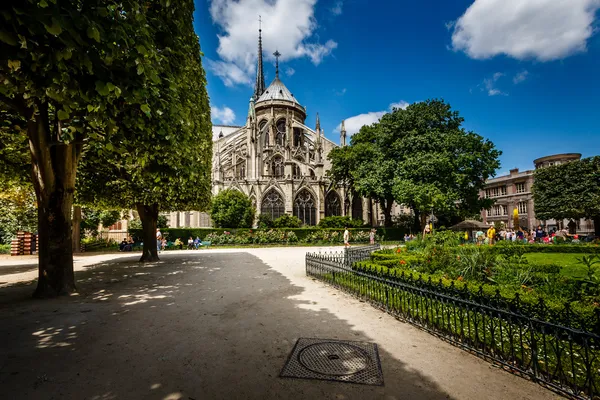 Notre Dame de Paris Garden on Cite Island, Paris, France — Stock Photo, Image