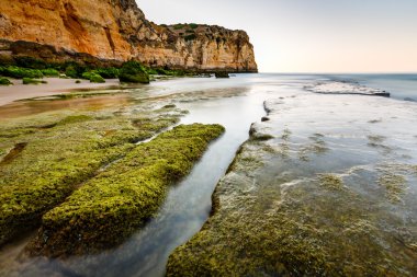 porto de mos Beach lagos, algarve, Portekiz için yeşil taş