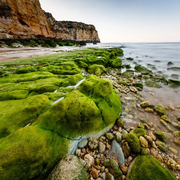 Rocas y acantilados de la playa de Porto de Mos por la mañana, Lagos, Al —  Fotos de Stock