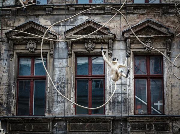 Fachada de Casa Vieja con Escultura de Mono en Berlín, Alemania — Foto de Stock