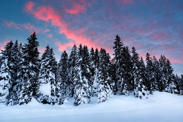 Krásný východ slunce v blízkosti lyžařského střediska madonna di campiglio, italský — Stock fotografie