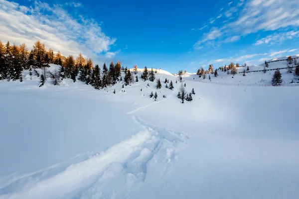 意大利阿尔卑斯山，意大利麦当娜迪多纳滑雪场 — 图库照片