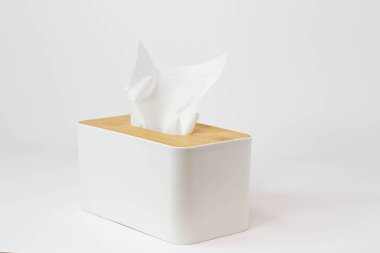 Burun mendili. Kişisel hijyen. Kulak kiri temizlemek için pamuk çubukları. Yüze sünger. Evdeki birinin temizlik ve hijyeni. Beyaz arkaplanda.