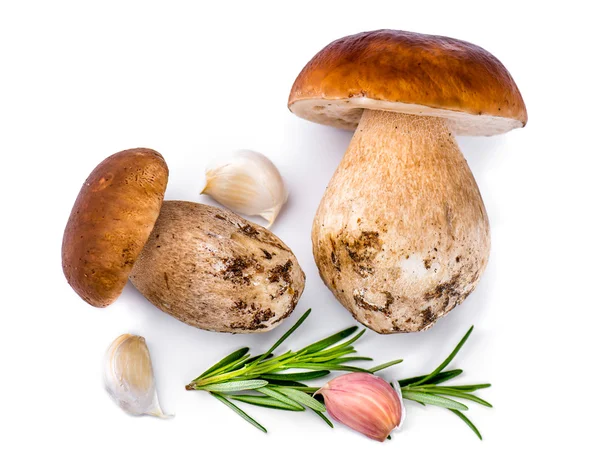 迷迭香蒜茸牛肝菌蘑菇 — 图库照片