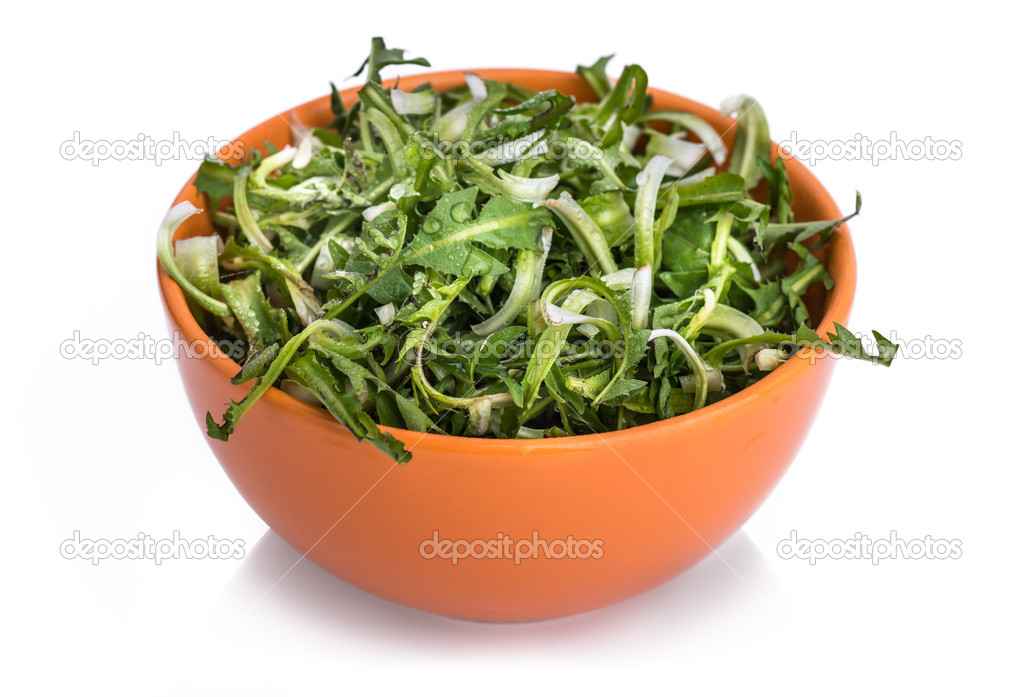 Fresh dandelion salad