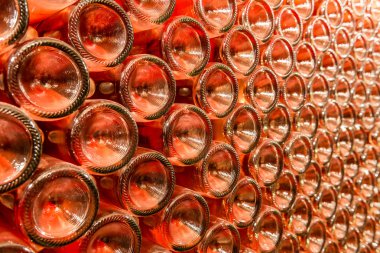 A row of champagne bottles - Wine cellar clipart
