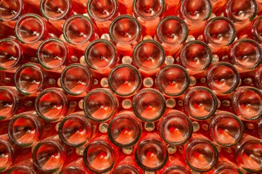 bir şampanya şişesi - wine cellar satırı