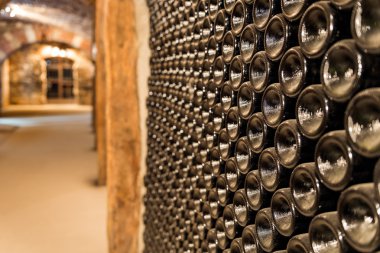 Wine cellar, a row of champagne bottles clipart