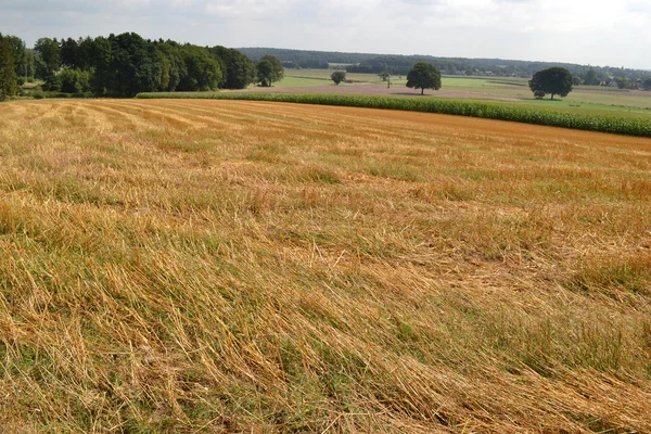 Vista with sloping landscape. — Stock Photo, Image