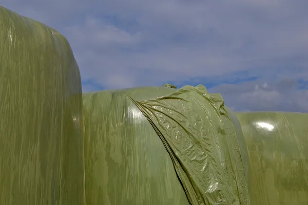 Plastic hay bales. — Stock Photo, Image