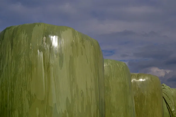 Plastic hay bales. — Stock Photo, Image