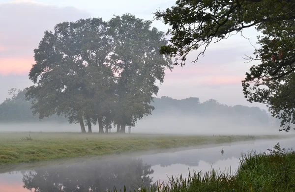 Salida del sol con niebla matutina . — Foto de Stock