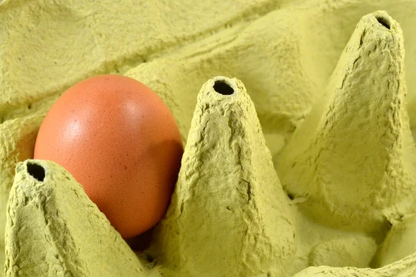 Caja de huevo verde con un huevo . —  Fotos de Stock