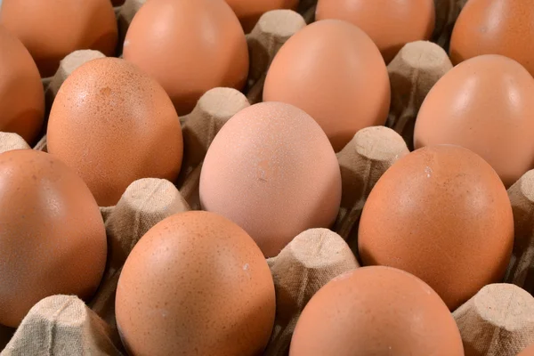 Caja de huevos con huevos . —  Fotos de Stock