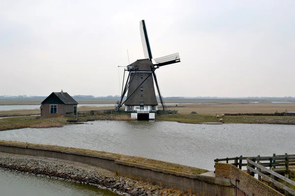 Młyn na texel, Holandia. — Zdjęcie stockowe