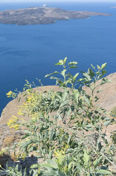 Άποψη της Θήρας στην Σαντορίνη. — Φωτογραφία Αρχείου