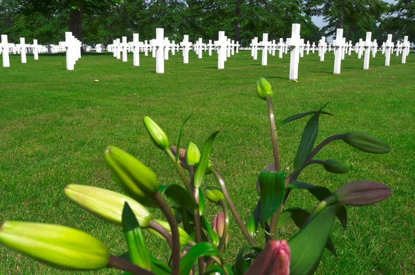 PAESI BASSI - MARGRATEN - CIRCA GIUGNO 2014: Fiori su una tomba di un soldato statunitense caduto nel cimitero e memoriale americano dei Paesi Bassi . — Foto Stock