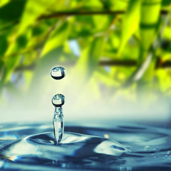 Su damlası