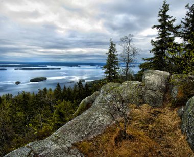Lale ve orman Manzaralı